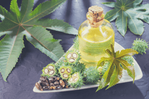 castor beans and oil on a table